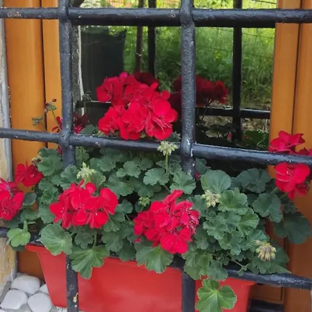 Daire Toplik 10 Saraybosna